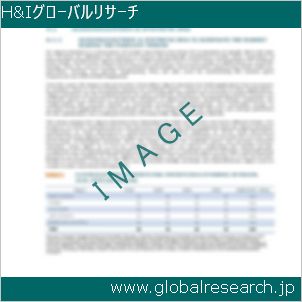 グローバルリサーチ調査レポートのイメージ